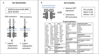 Precision oncology for RET-related tumors